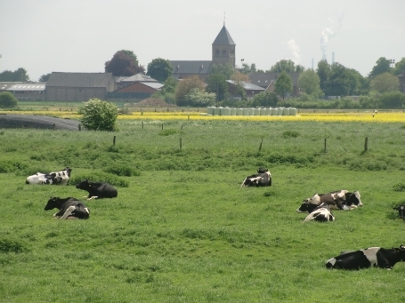 Wesel : Blick von der Bislicher Insel auf den Marienwallfahrtsort Ginderich